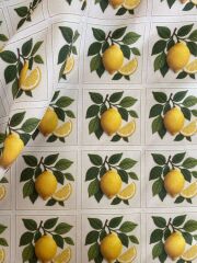 3D Çerçeveli Nakış Limon Desenli Kumaş