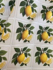 3D Çerçeveli Nakış Limon Desenli Kumaş