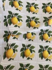 3D Çerçeveli Nakış Limon Desenli Kumaş