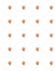 Turuncu Çiçekli Kahve Supla Kumaşı 20 tane kahve suplası-1,5 mt