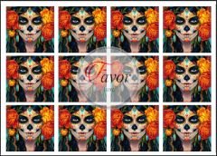 Kurukafa Makyajlı Kadın Desenli Kumaş mavili kız -30x30 cm pano