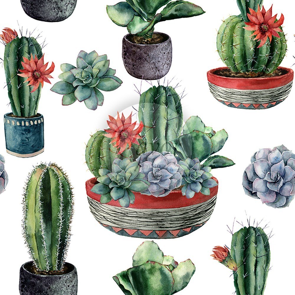 Saksı Kaktüs Desenli Kumaş 5