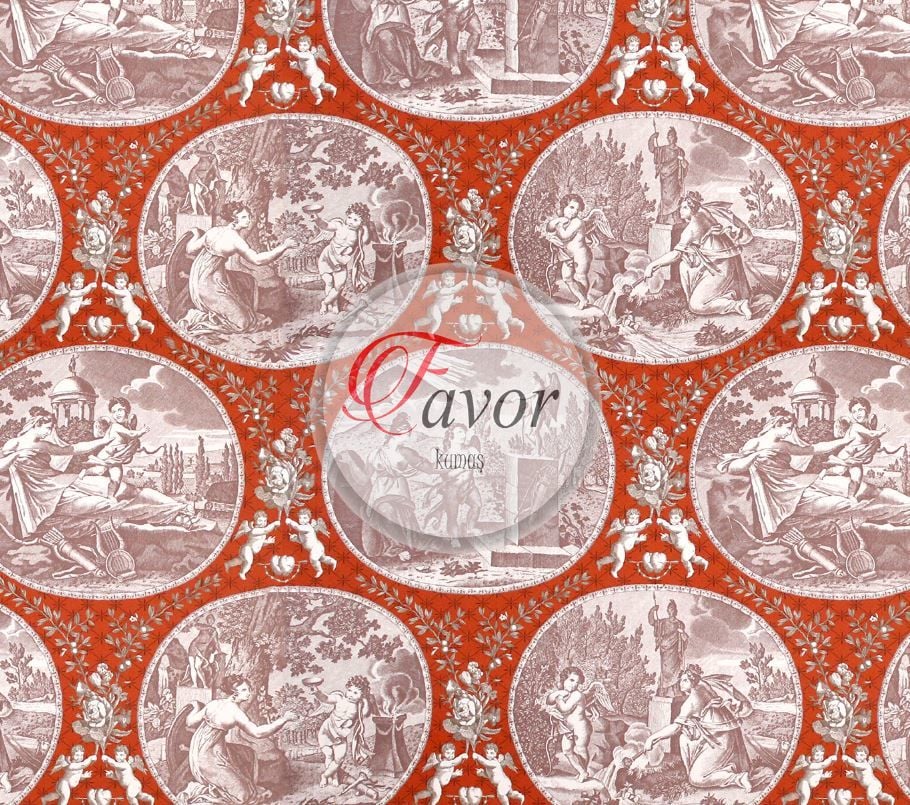 Toile De jouy Desenli Kumaş 3