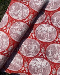 Toile De jouy Desenli Kumaş 3