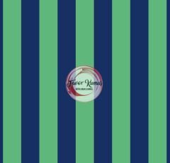 Çift Renk Çizgi Desenli Kumaş (3 CM X 3 CM ) Elite Poplin Kumaş - lacivert